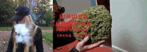 тгк Ельня