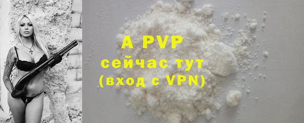 тгк Ельня