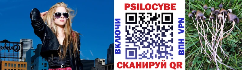 Псилоцибиновые грибы Psilocybe  Купить закладки  Усть-Лабинск 